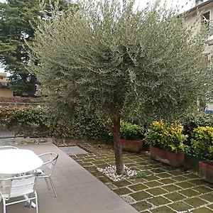 https://appartamento-almerina.hotelinveneto.com